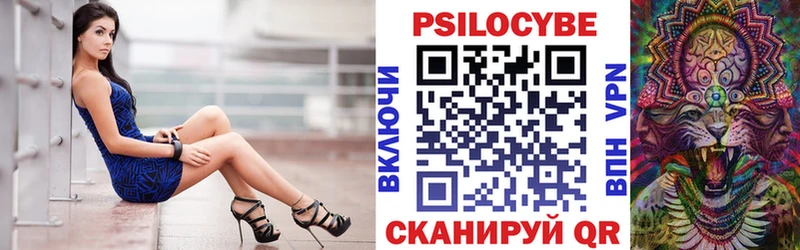 Псилоцибиновые грибы Psilocybe  Красково 